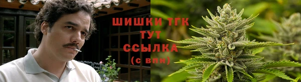 шишки Павлово