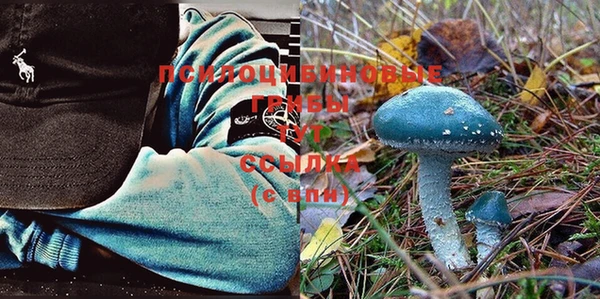 винт Липки