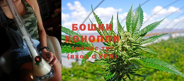 винт Липки