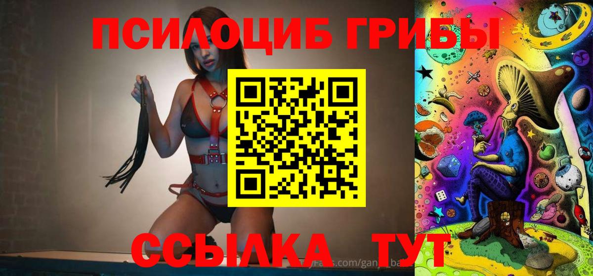 Псилоцибиновые грибы Cubensis  Темрюк  цена наркотик  Псилоцибиновые грибы Cubensis 