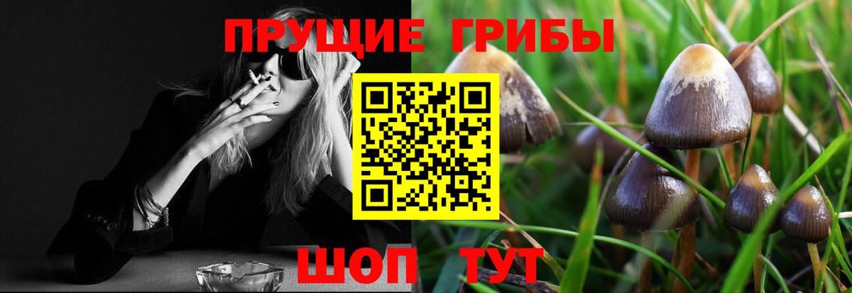 Галлюциногенные грибы мухоморы  Галлюциногенные грибы Psilocybine cubensis  Вход с VPN  Темрюк 