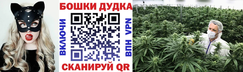 хочу наркоту Темрюк Канабис MAZAR