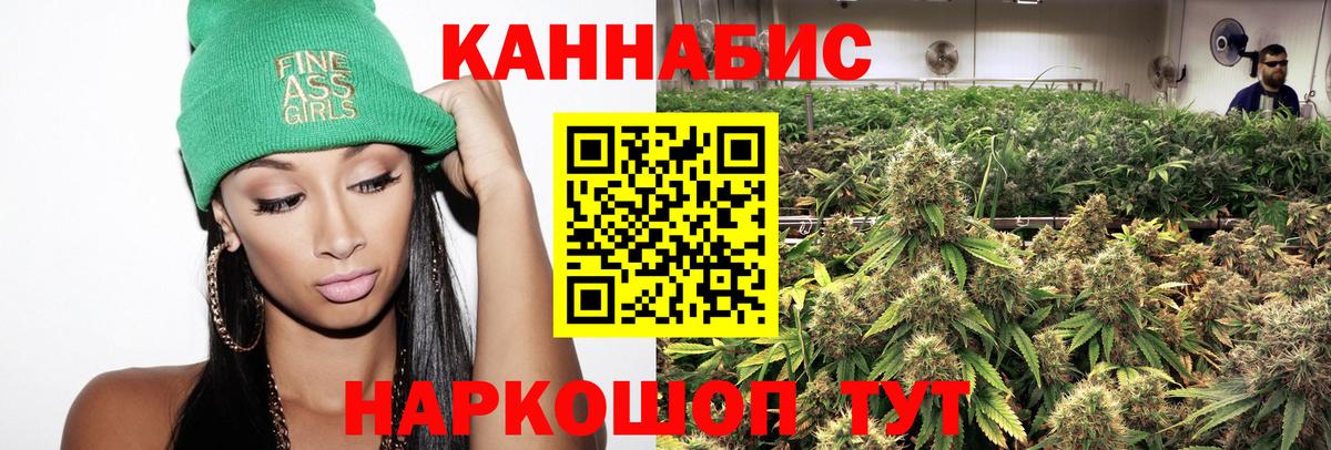 Марихуана конопля  Марихуана сатива  Темрюк  Конопля White Widow 